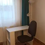 Brand Relaxing Place Close To Iulius Mall *