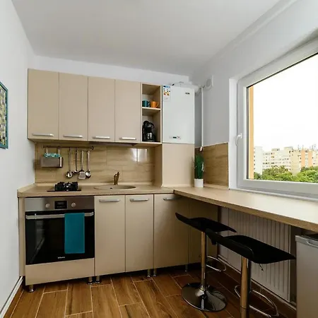 Brand Relaxing Place Close To Iulius Mall 公寓 蒂米什瓦拉