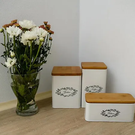 Brand Relaxing Place Close To Iulius Mall 公寓